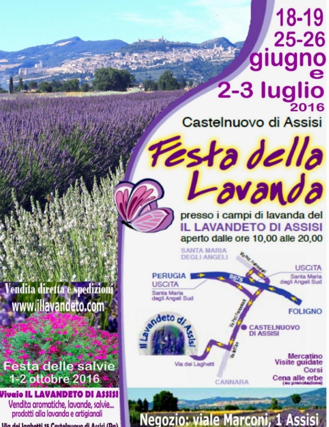Festa della Lavanda Assisi 2016