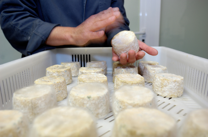 Make Fresh Cheese With An Artisan