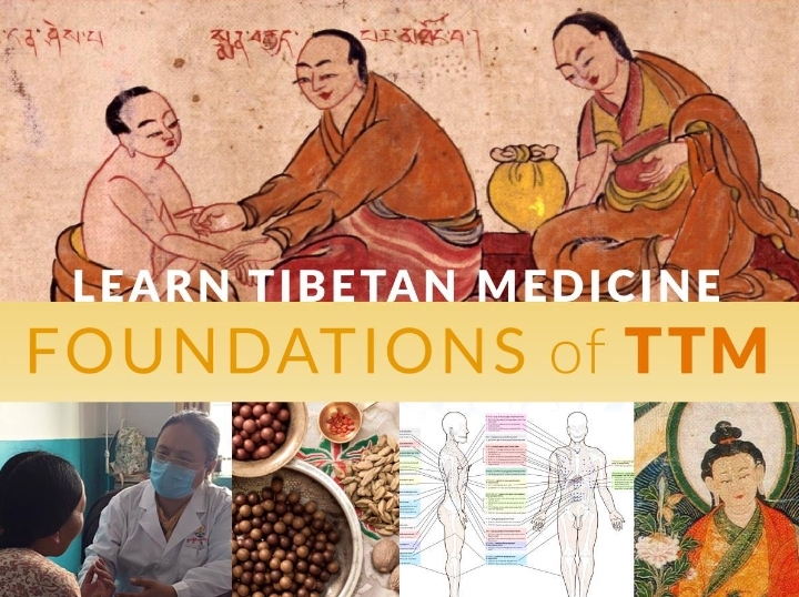 Learn the traditional healing science of Tibet and the Himalayan region!