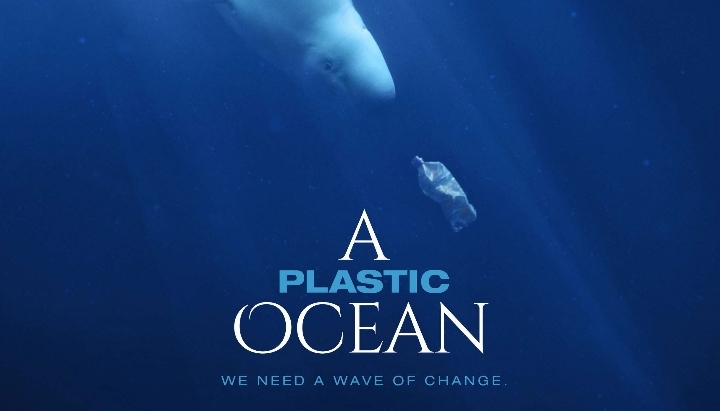 A Plastic Ocean film British Science Week screening