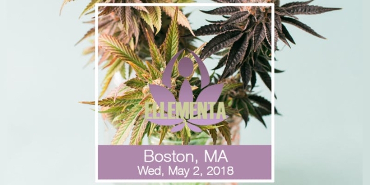 Ellementa Boston (Melrose): Growing Cannabis for Health and Wellness in Melrose