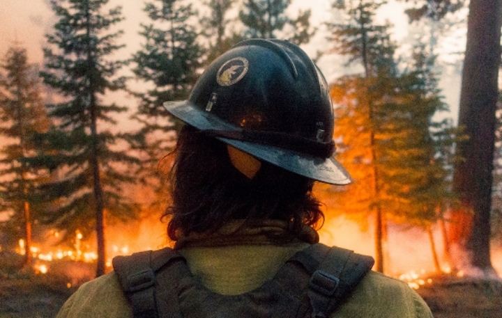 Wilder Than Wild: Fire, Forests and the Future Film Sceening