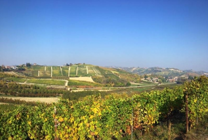 PODERI MORETTI open winery for tour and tasting fine wines of Alba Langhe and Roero – UNESCO Area on October and November 2018