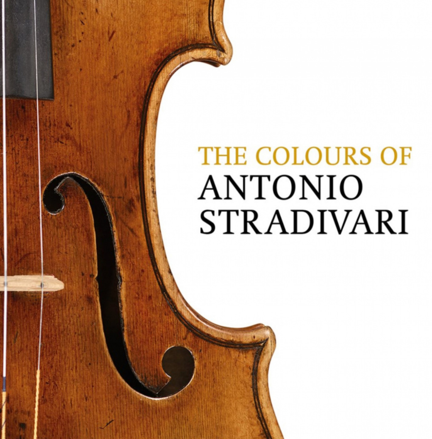 The Colours of Antonio Stradivari