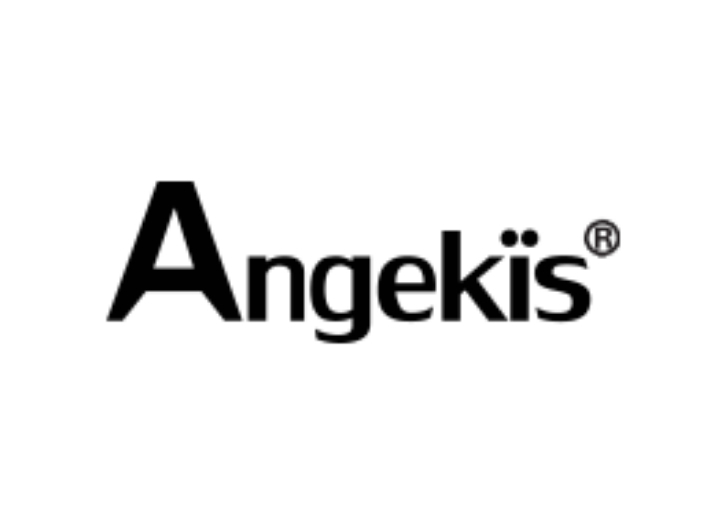 Angekis Technology Co.,Ltd