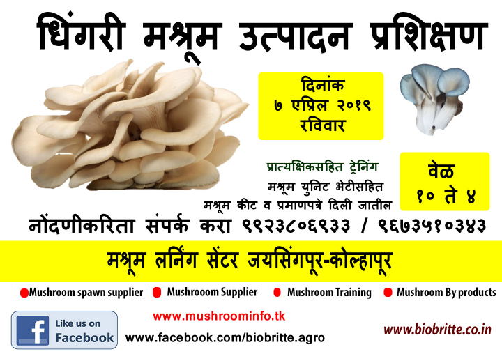 Oyster Mushroom Cultivation Training in Kolhapur- 07 April 2019