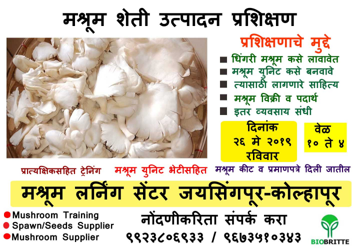Oyster Mushroom Cultivation Training in Kolhapur-26 May 2019