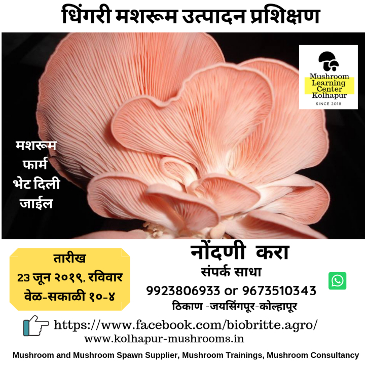 Oyster Mushroom Cultivation Training in Kolhapur-23 June 2019