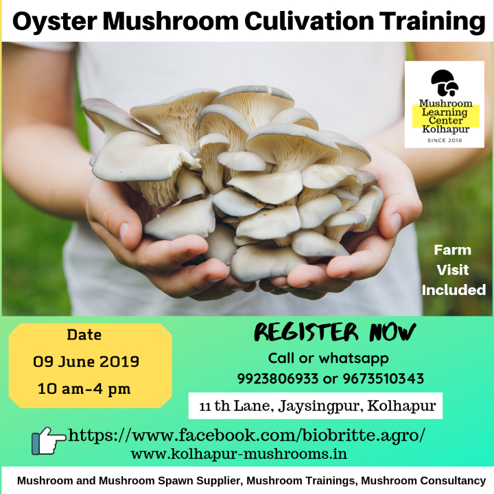 Oyster Mushroom Cultivation Training in Kolhapur-09 June 2019