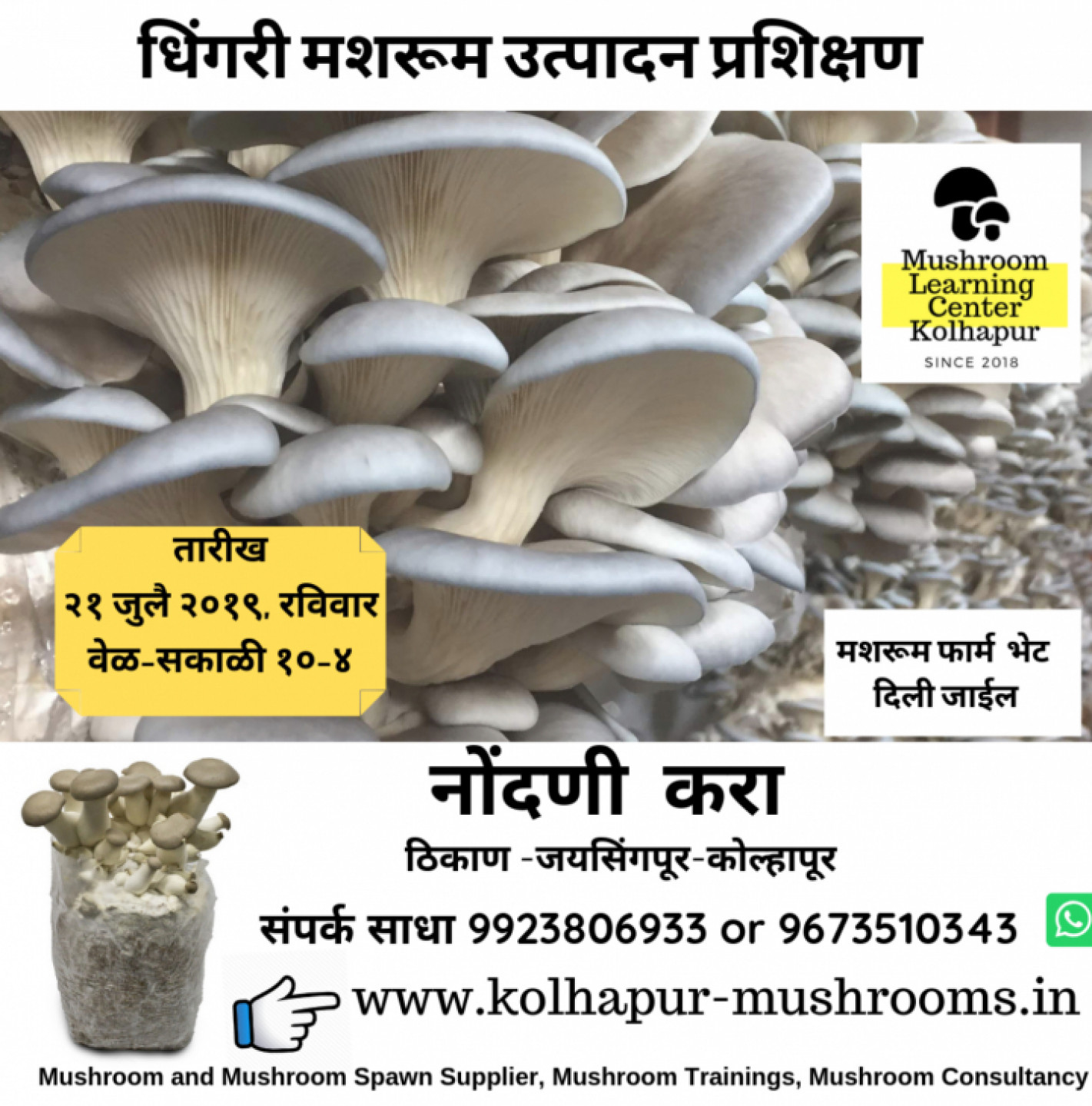 Oyster Mushroom Cultivation Training in Kolhapur-21 July 2019