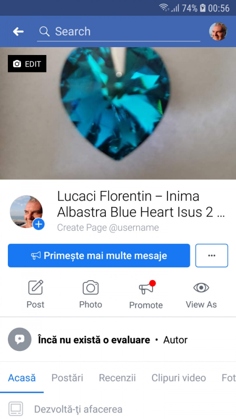 LUCACI FLORENTIN - INIMA ALBASTRA - BLUE HEART - ISUS 2 - JESUS 2