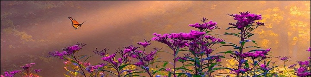Purple Sage Healing